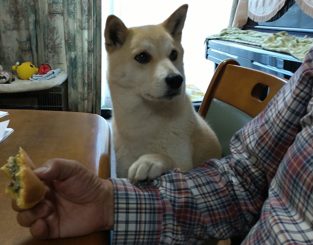 ちょうだいよ～