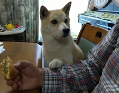 ちょうだいよ～