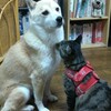 毛づくろい！