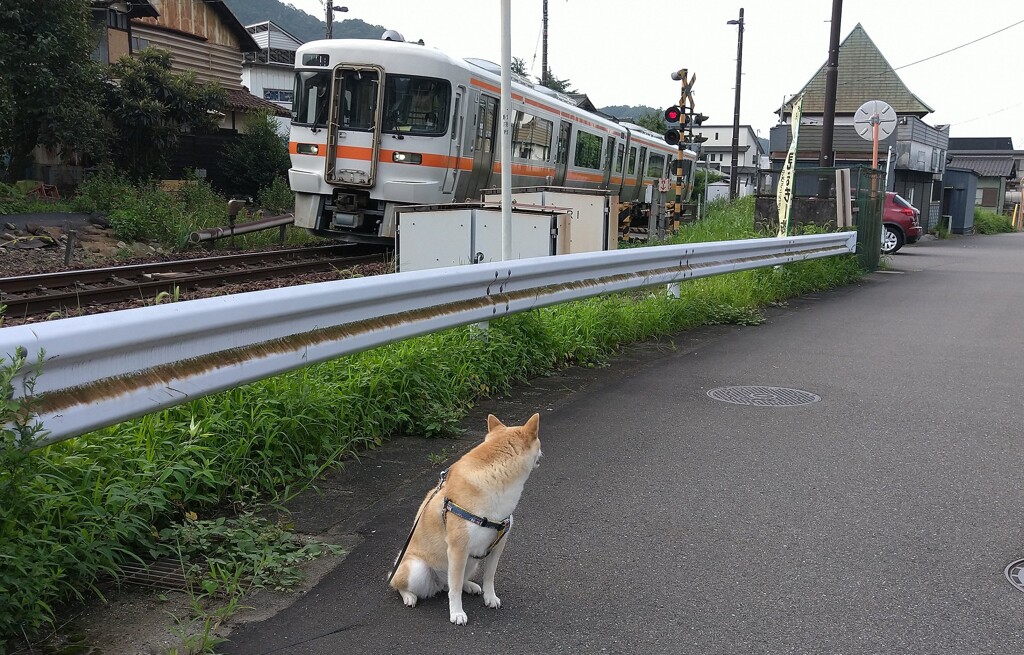 キハが来はった