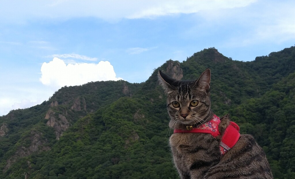 登山したぞ！