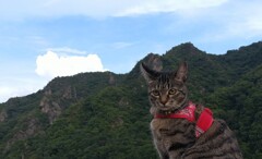 登山したぞ！