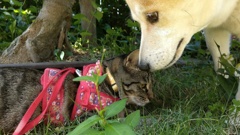 何でも口にしないでね！