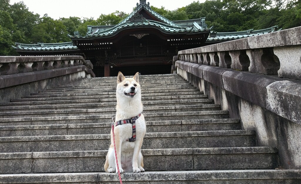 願い叶います様に！