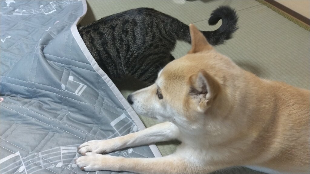 押さえていてね！