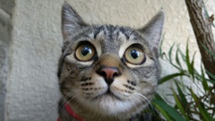 誕生八ヶ月に成りました！