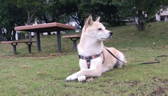 誰もいな～い！