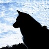 雲に覆われて！