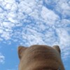 雲が切れてきた！
