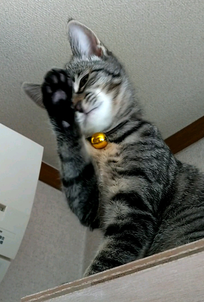 さようなら～！×2