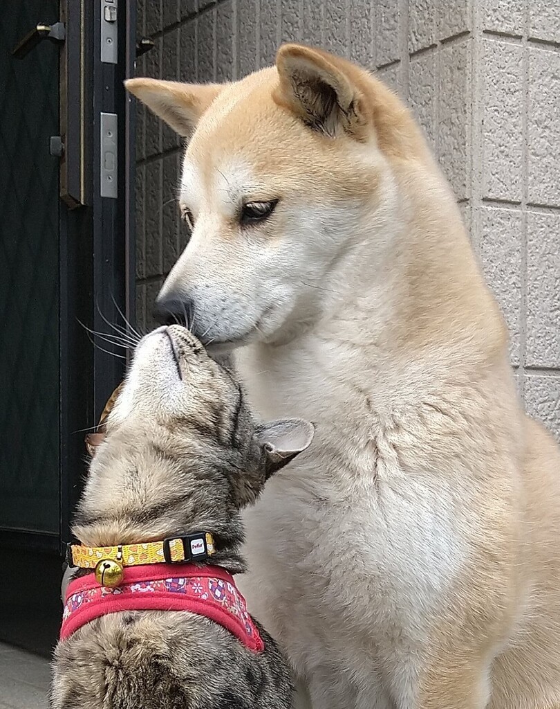 甘えん坊！