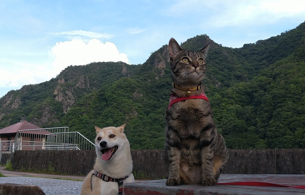 アンバランス