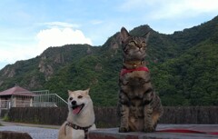 アンバランス