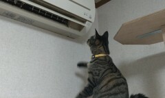風出てないよ一！