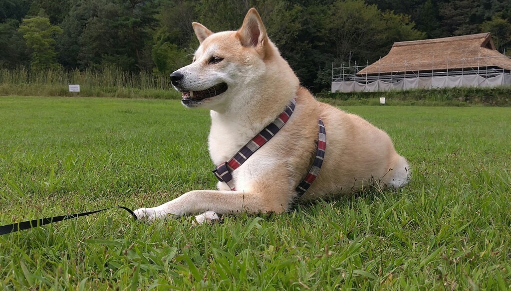 自然公園で一休み