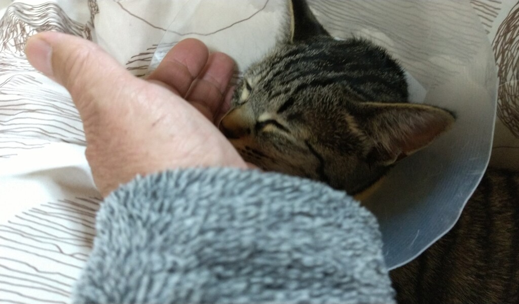 寂しかったよ～