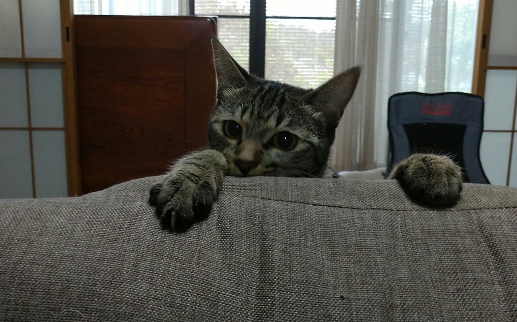 ジャンプ！