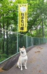 見守りワン