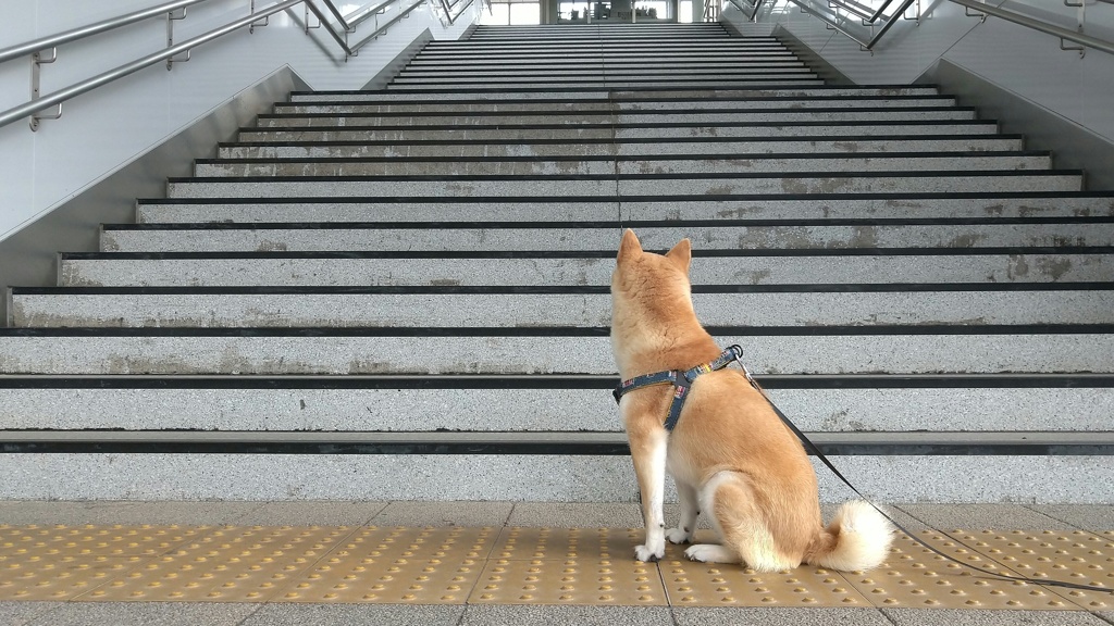 私鉄沿線