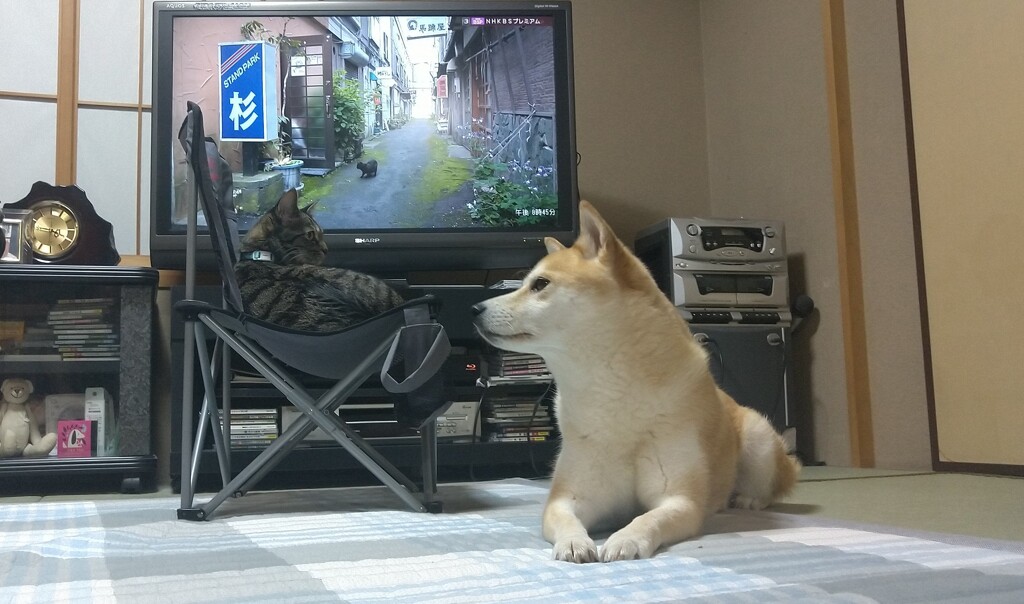 釧路・十勝の旅！