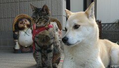 アサヒ誕生八ヶ月メイと