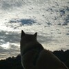 ウロコ雲とメイ