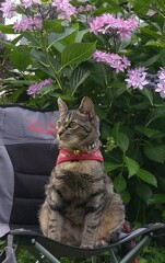 お気に入りの椅子で