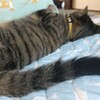 お昼寝③