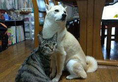 大丈夫かな！