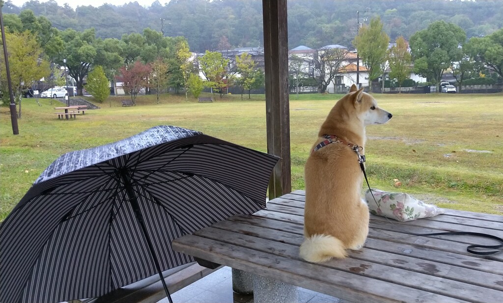 つまらないな～