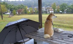 つまらないな～