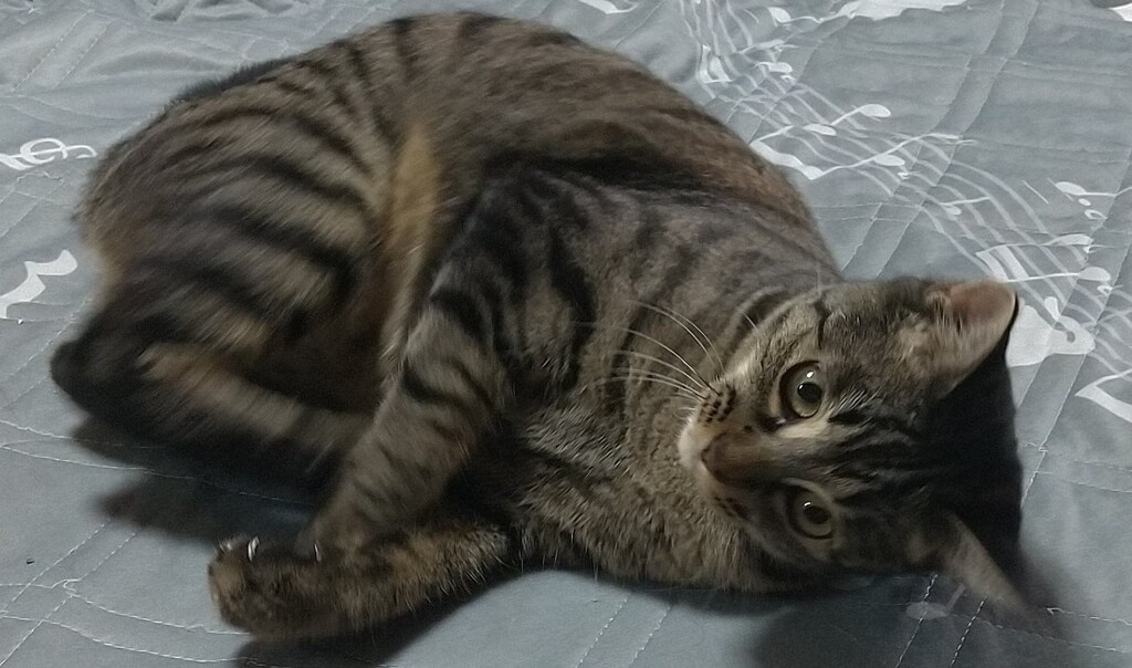 まったり！