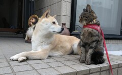 眠いの？