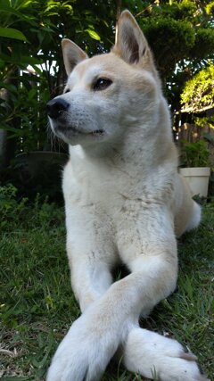 お気に入りのポーズ