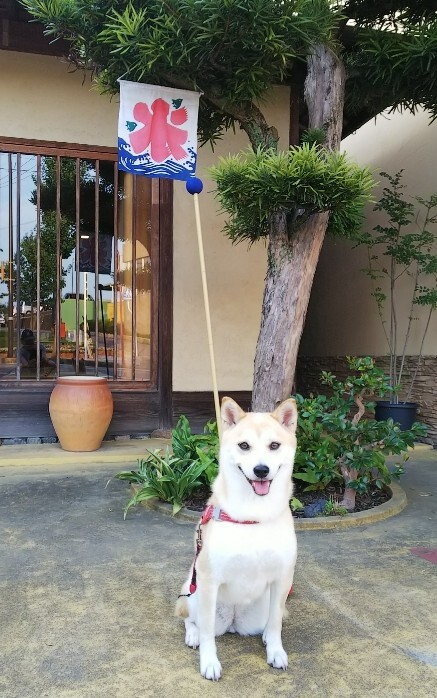 涼しさ感じて！