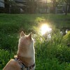しばし佇む！