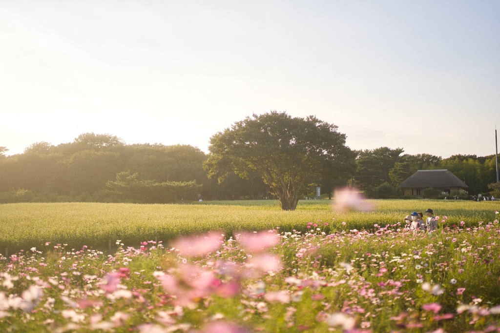 花々に囲まれて