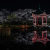 中国庭園の夜桜