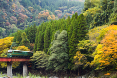 色づく山を行く