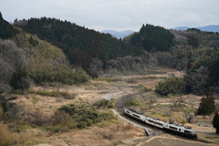 寂しげな里山
