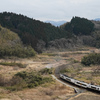 寂しげな里山