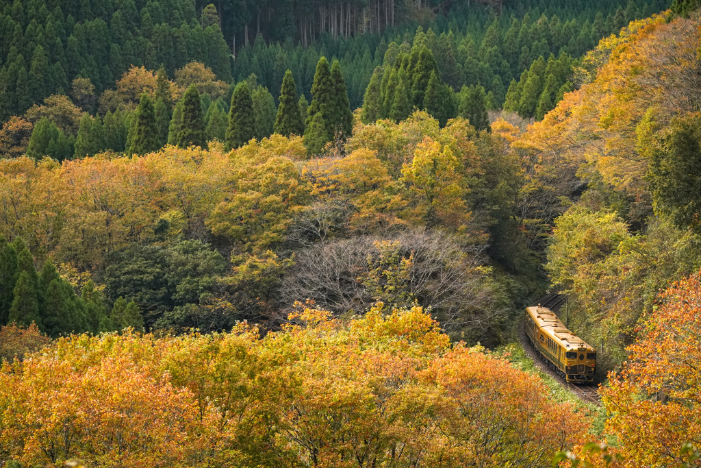 紅葉の峠越え