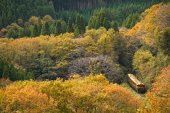 紅葉の峠越え