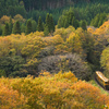 紅葉の峠越え