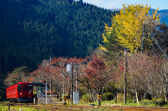 秋の無人駅
