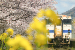 桜の駅