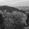 峠に挑む