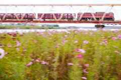 花咲くトラス橋を駆け抜ける