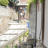 猫の住む路地