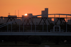 淀川河川敷